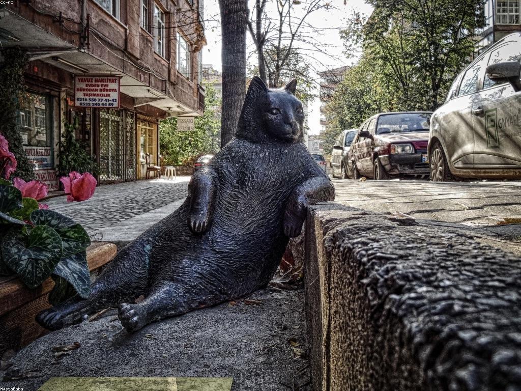 អនុប្បទានល្អបំផុតសម្រាប់ការបង្ហាញម៉ាស៊ីនស្លត